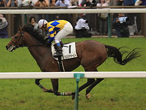 Logi Universe Takes Japan Derby Logi Universe Takes Japan Derby